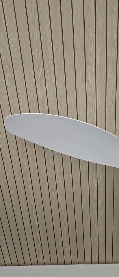 Customer photo review of Three-Blade Ceiling Fan with Dimmable Light and Remote