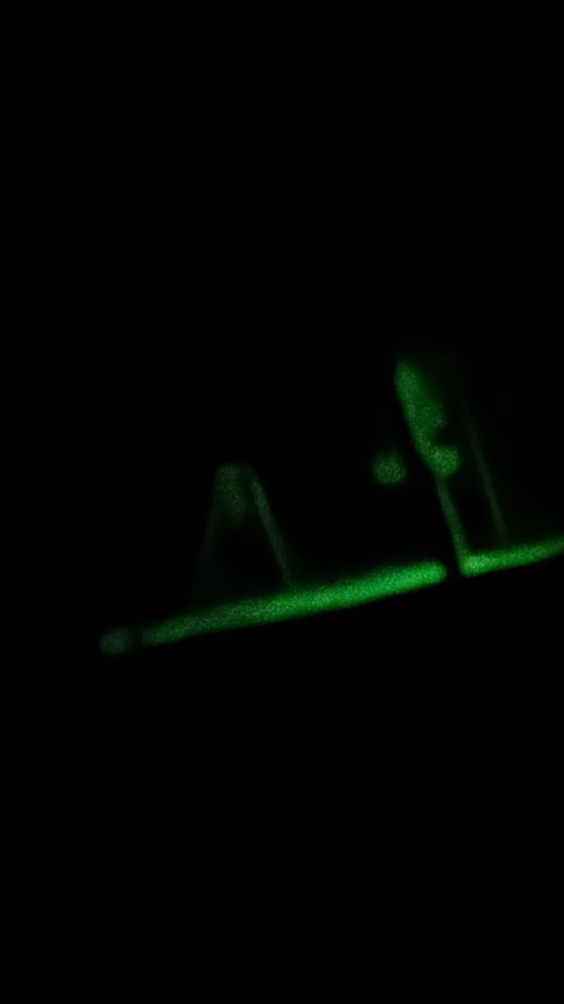Customer photo review of Solar Green Floodlight for Night Hunting