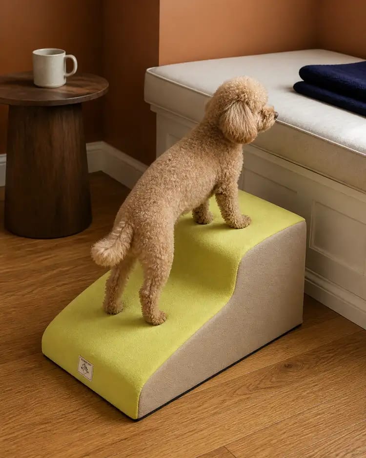 Customer photo review of Gentle Slope Pet Ramp for Beds & Sofas