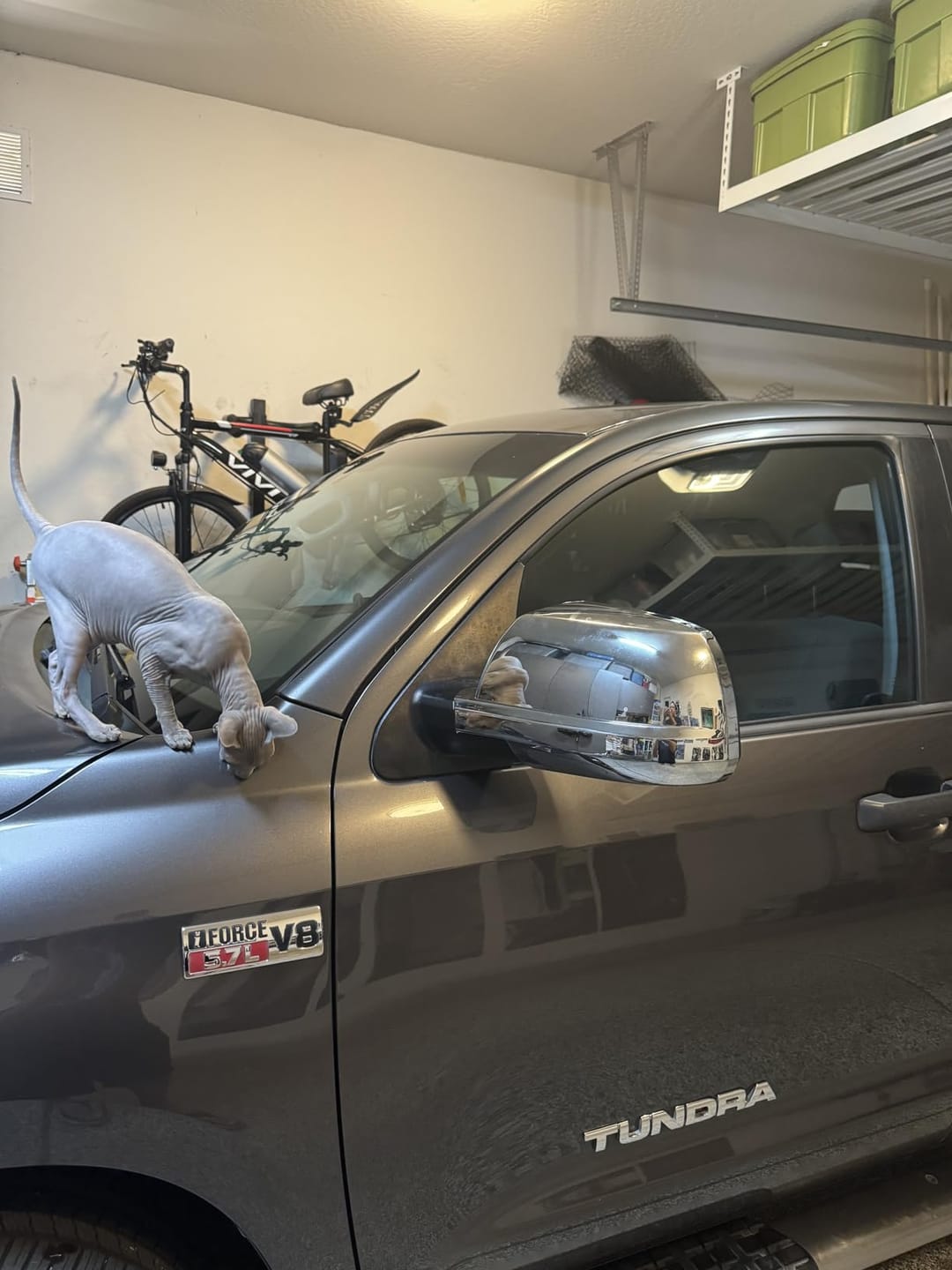 Customer photo review of Toyota Tundra Chrome Mirror Covers Replacement for 2007-2021 Models