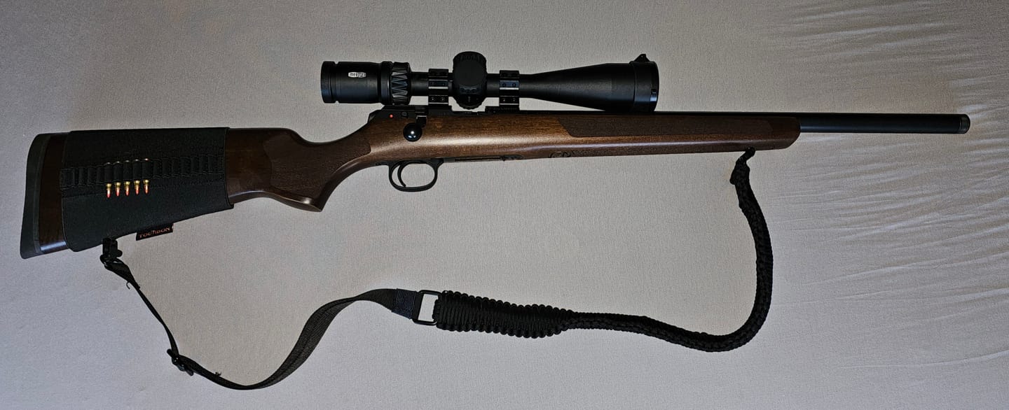 Customer photo review of Victoptics Montageringe aus Aluminium für 11mm Schiene und 25,4mm Tubus in verschiedenen Höhen