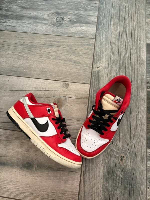 Customer photo review of Nike Dunk Low Chicago Split