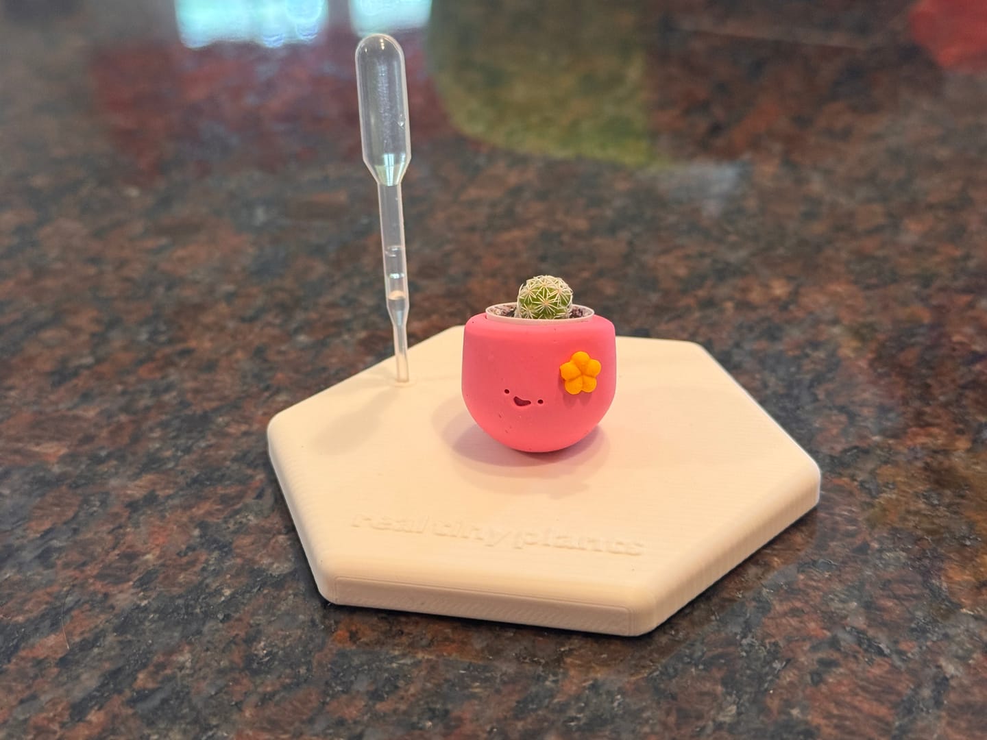 Customer photo review of Flower Power