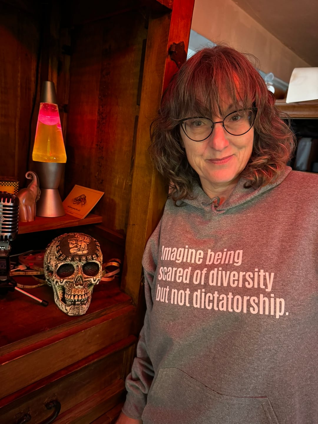 Customer photo review of $20 Stockroom Exclusive Hoodie — Imagine Being Scared of Diversity But Not Dictatorship