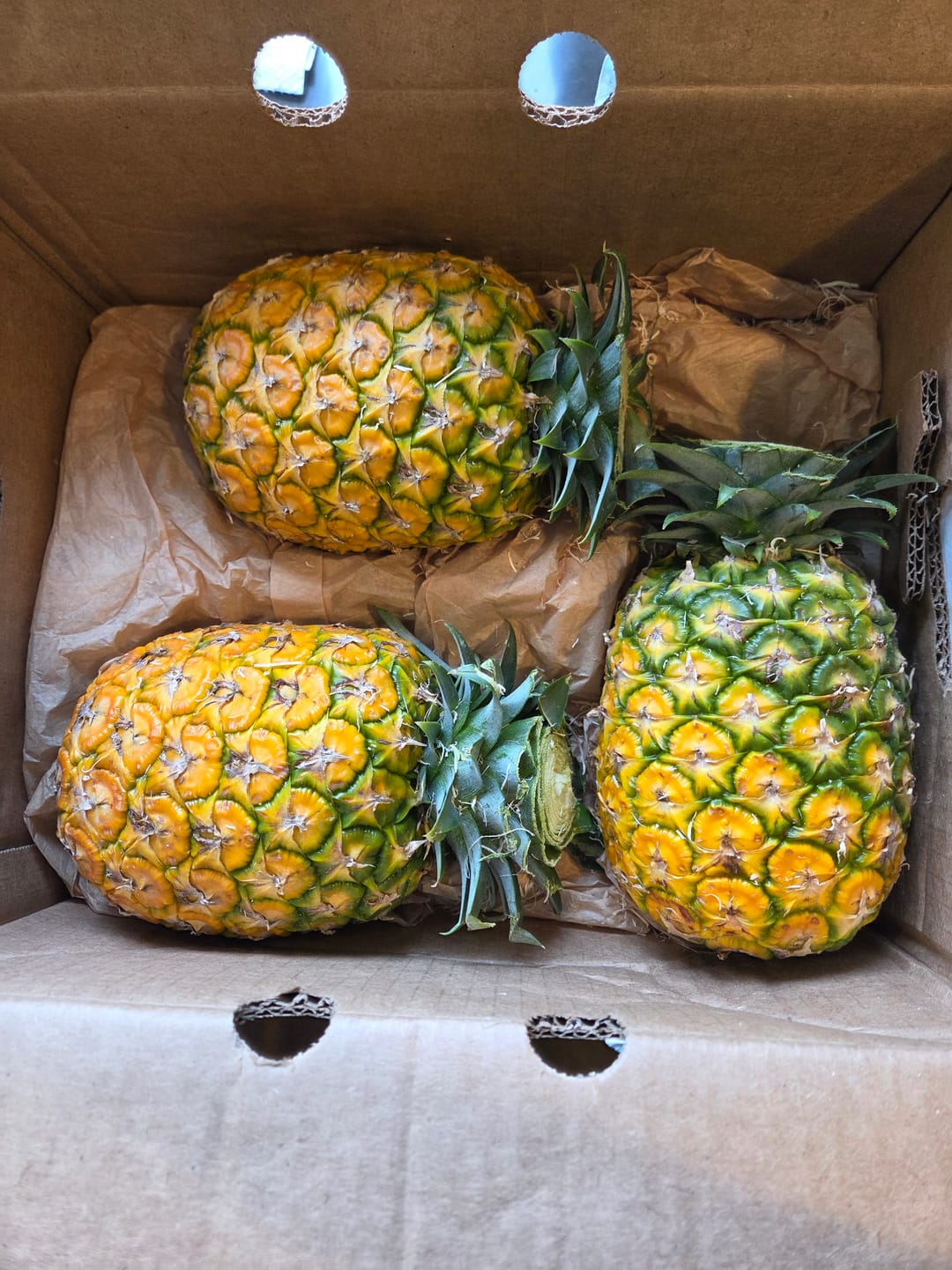 Customer photo review of Pineapple