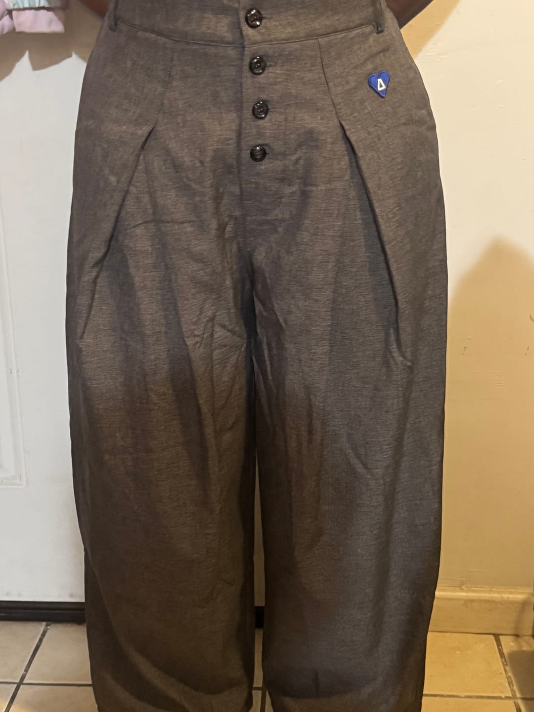 Customer photo review of Aelfric Eden Pleated Baggy Barrel Pants