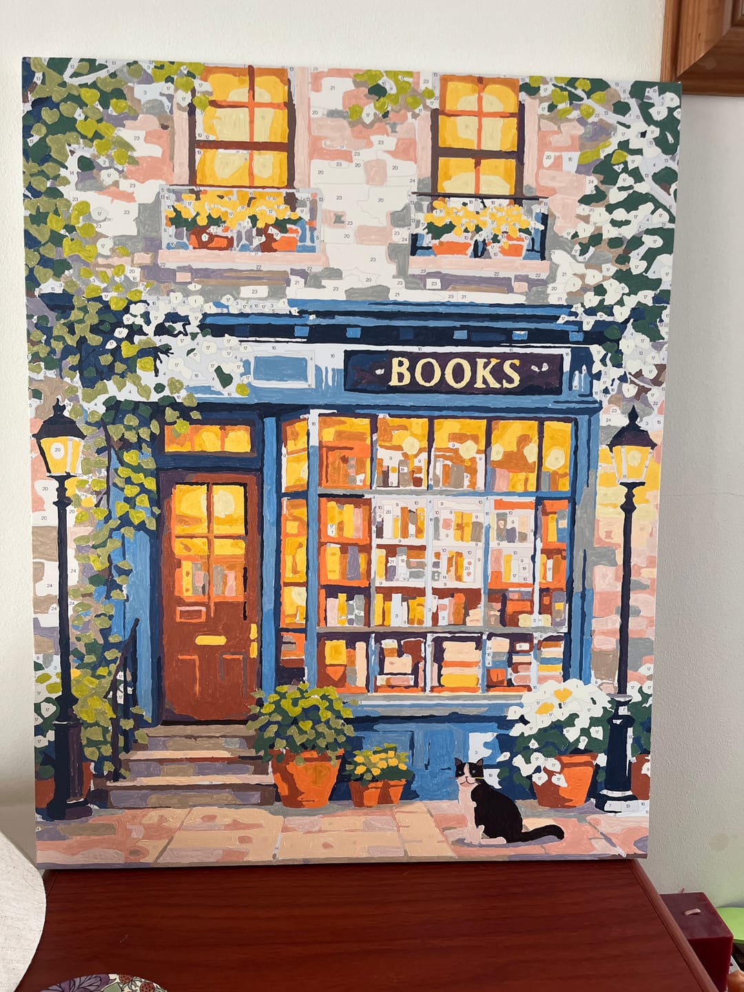 Customer photo review of Secret bookstore | Paint by Number