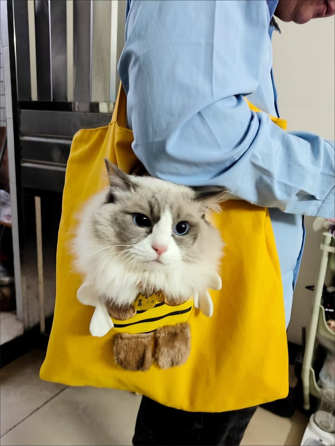 Customer photo review of Bolsos PeekPet™️