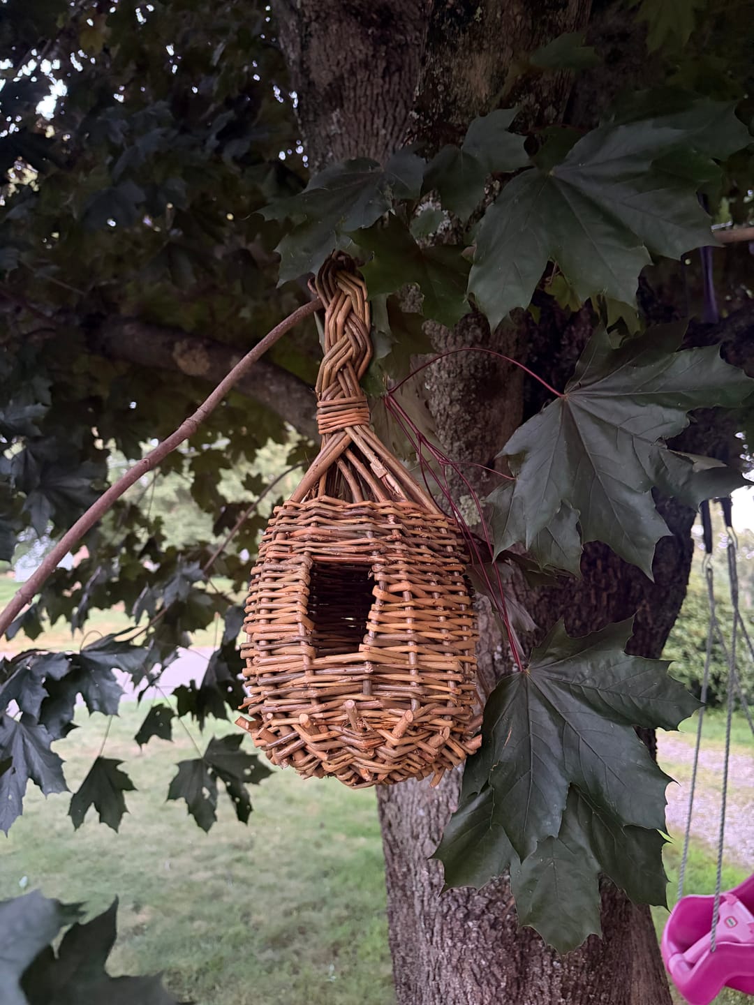 Customer photo review of The Bird Box Course and Kit