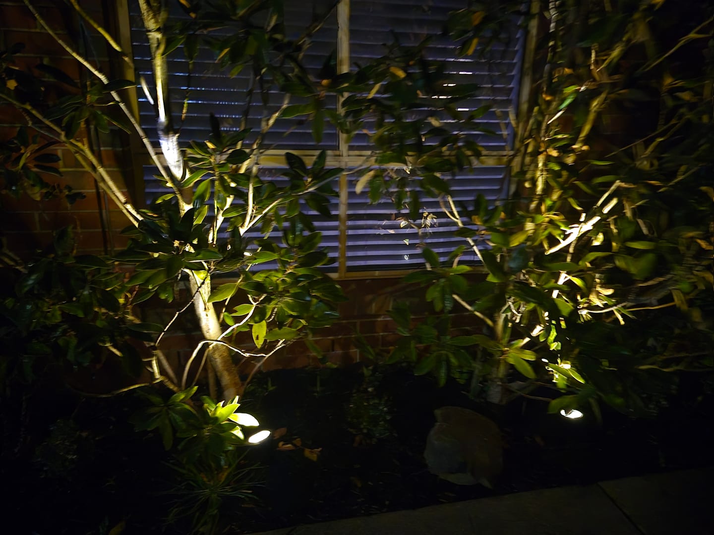 Customer photo review of Solar Ground Spotlights