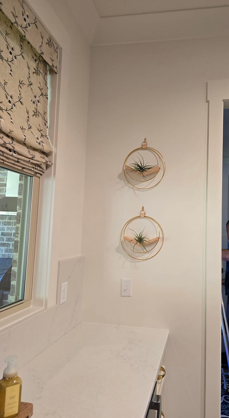 Customer photo review of Air Plant V-Hanger Duo