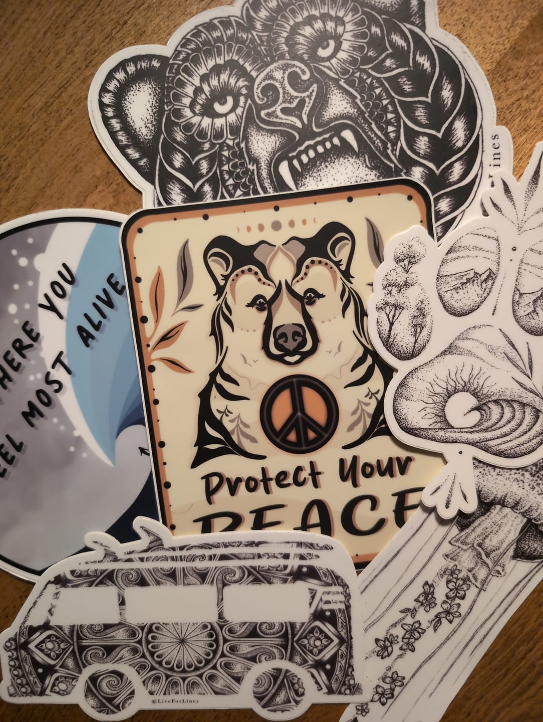 Customer photo review of Mystery 5 Pack