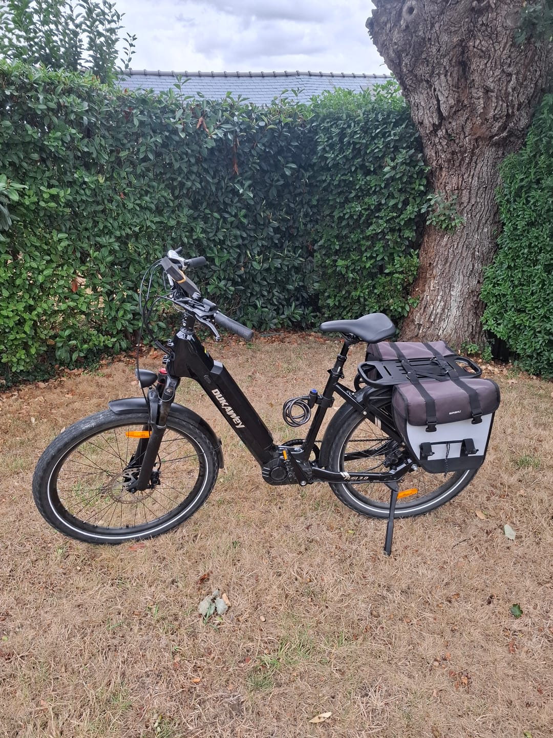 Customer photo review of E-Bike Suspension Seatpost
