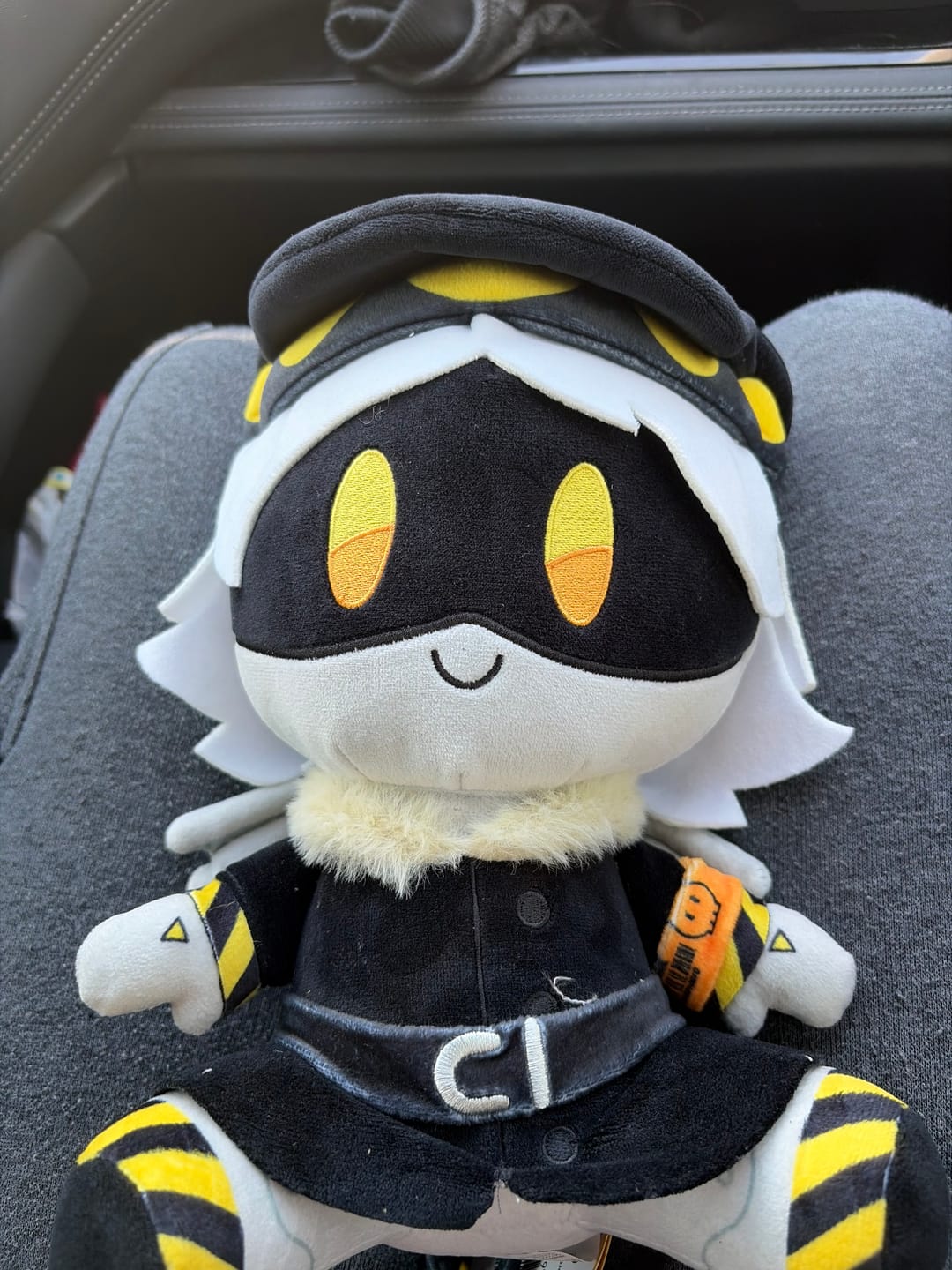 Customer photo review of N Plush