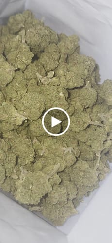 Customer video review of Popscotti (Light-Assisted) – Bulk THCA Flower 1 lb
