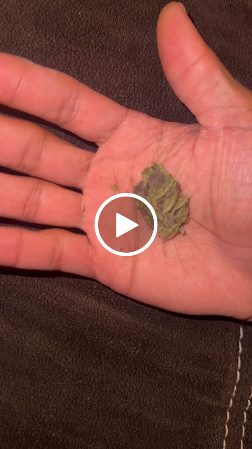 Customer video review of Trop Cherry - 14 Grams - Sativa