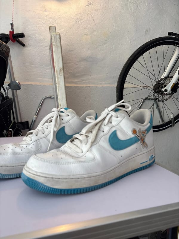 Customer photo review of Nike Air Force 1 Low Hare Space Jam