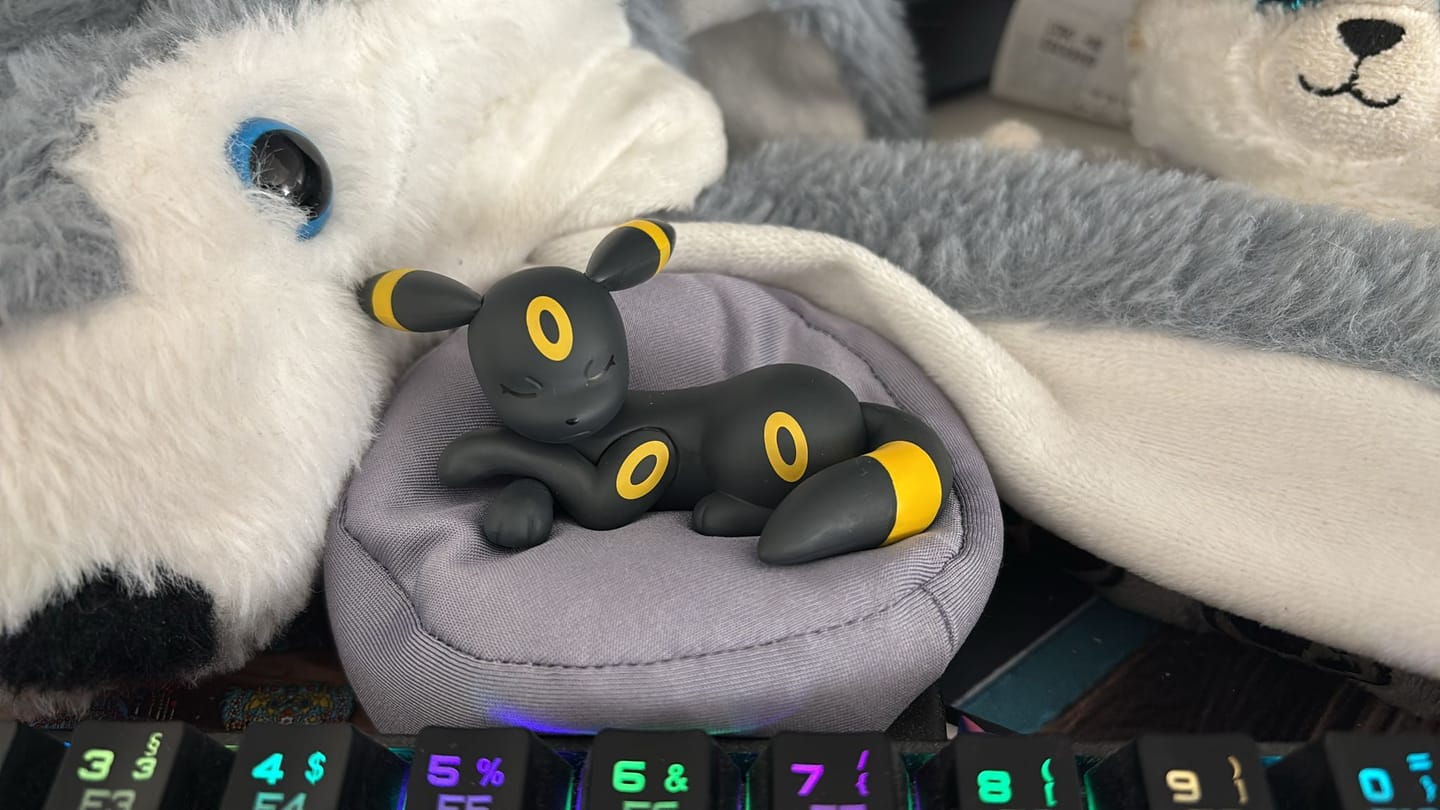 Customer photo review of Pokémon: Sleepy Eeveelutions Series