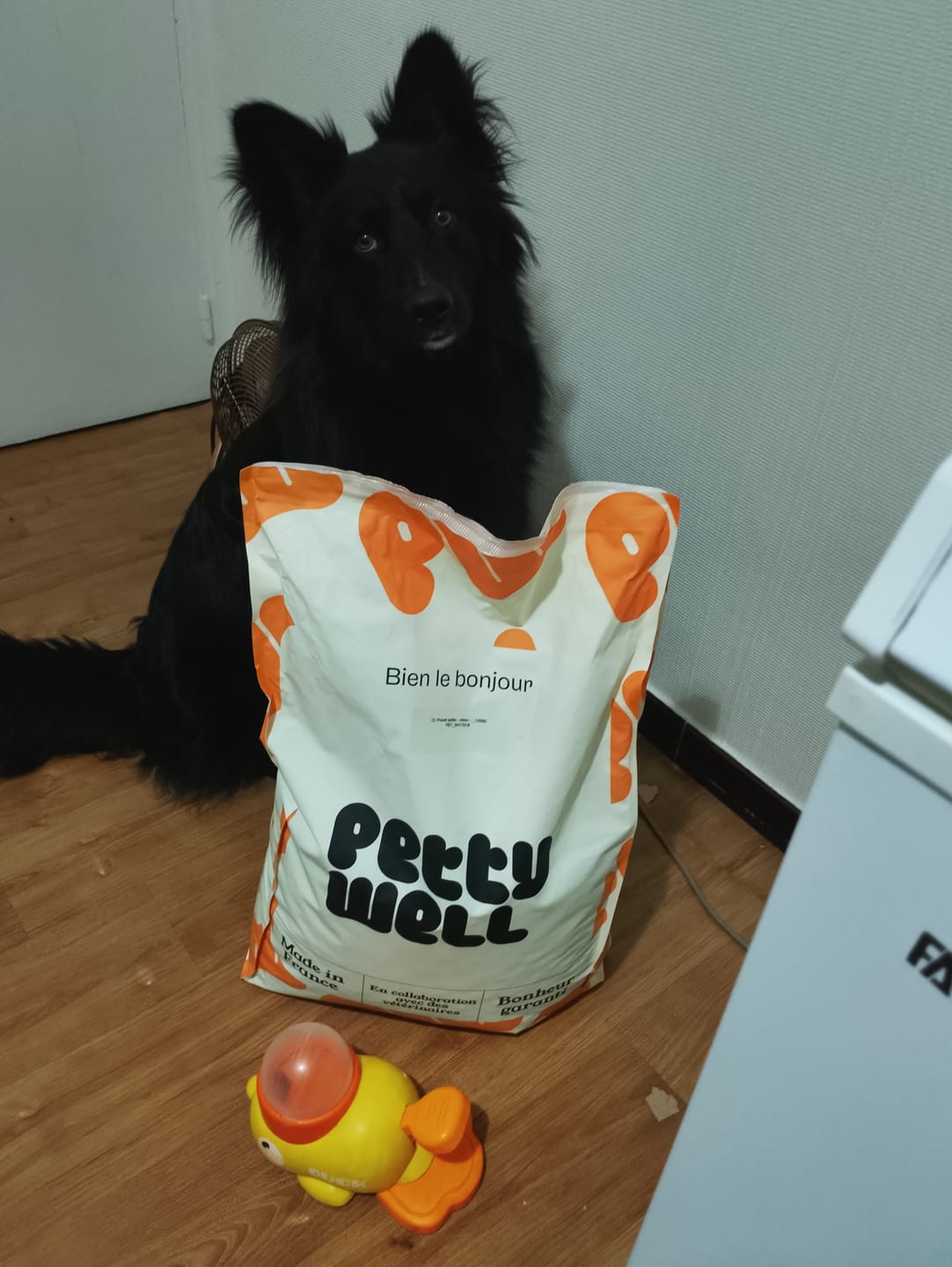 Customer photo review of Notre recommandation : Croquettes Chien Poulet Sans Céréales Ajoutées, Légumes Toutes Tailles
