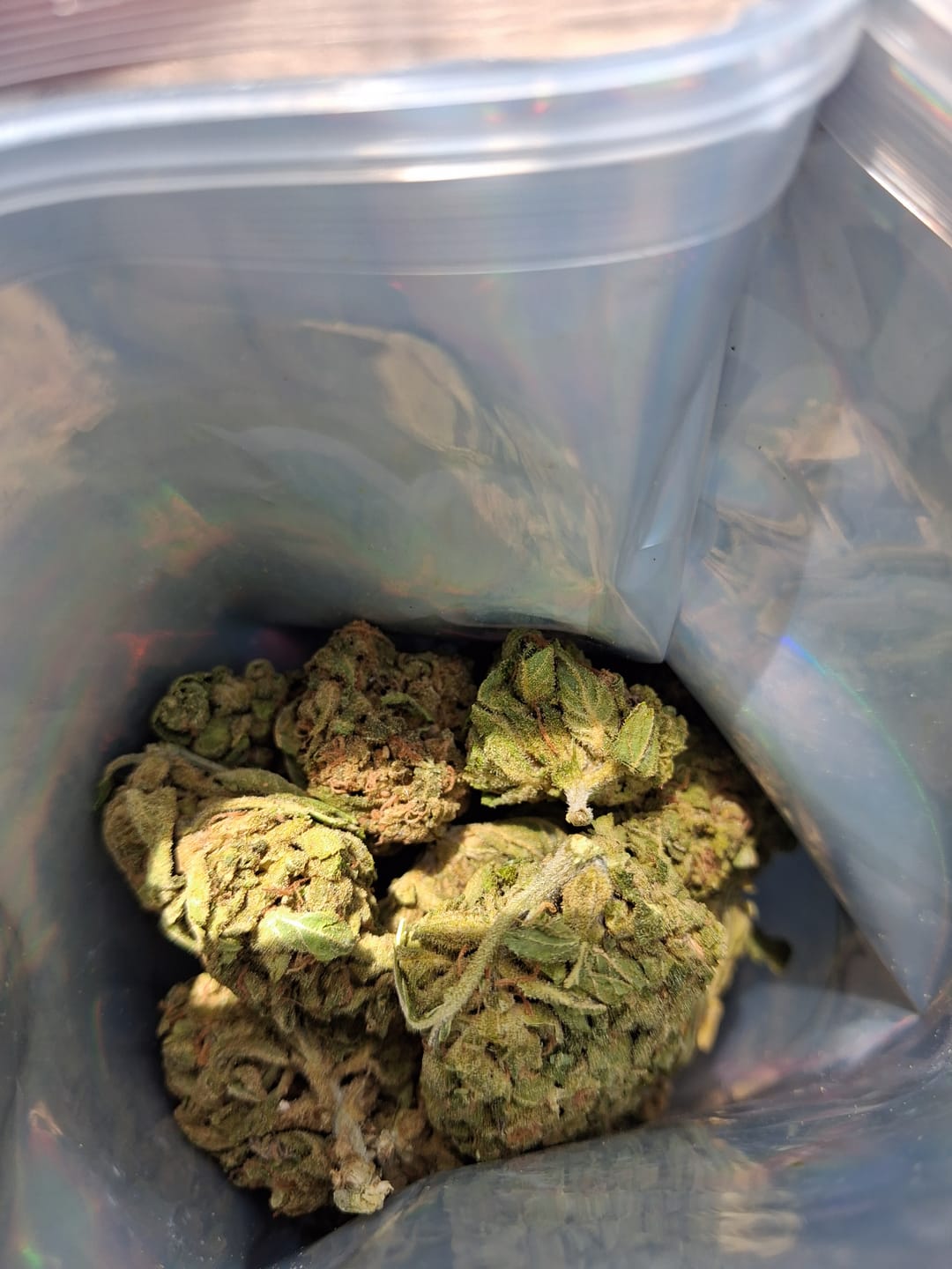 Customer photo review of Bubba OG MICROS - 28 Grams - Indica
