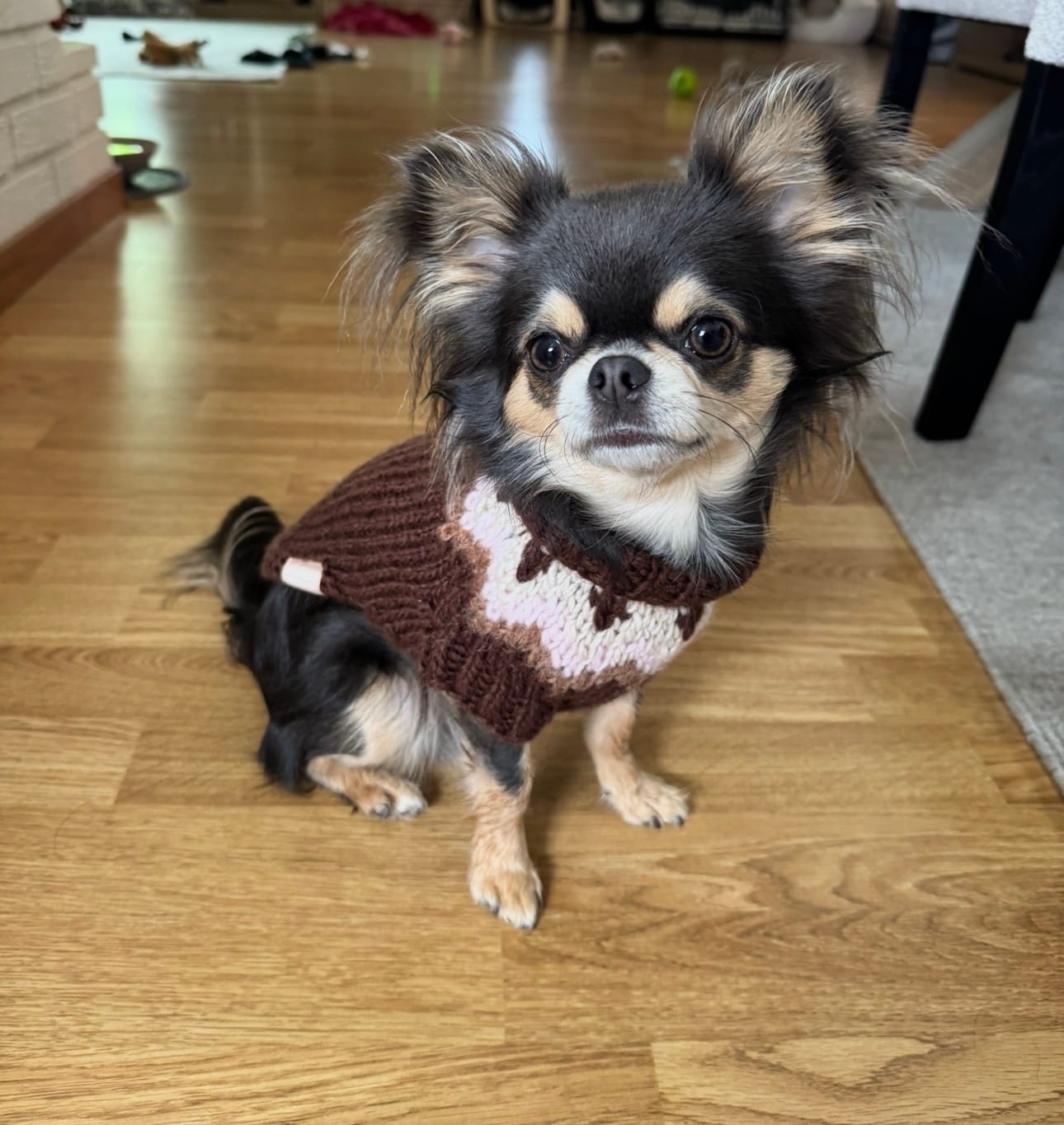 Customer photo review of Knit Jumper Brown