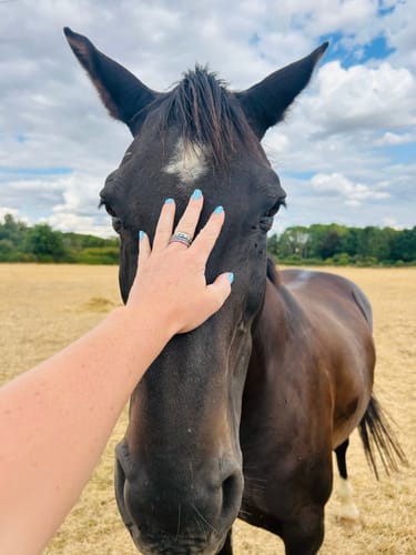 Customer's Eterna Birthstone Ring worn on a hand, gently touching a brown horse in a field.