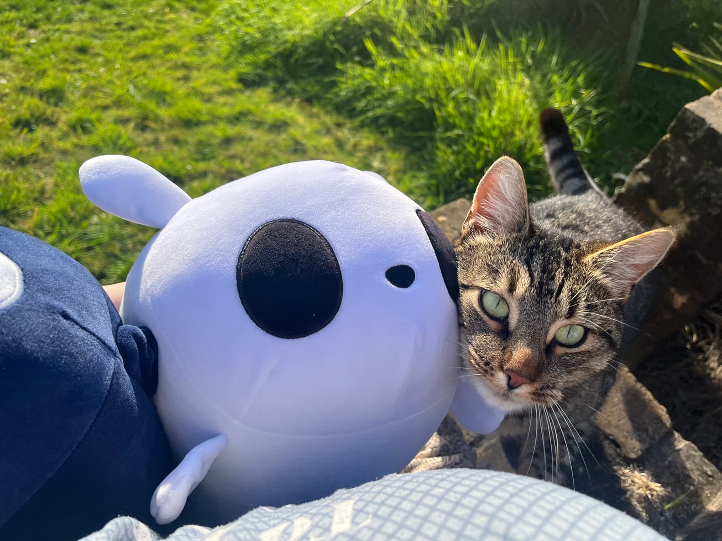 Customer photo review of Rain World - Survivor Slugcat Pillow Plush