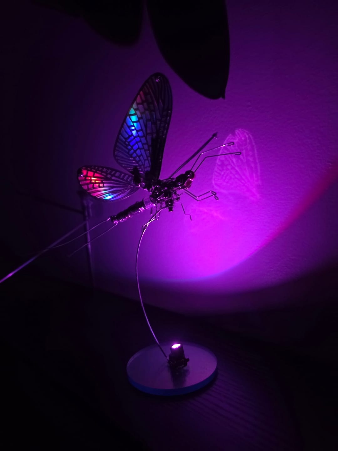 Customer photo review of Mayfly