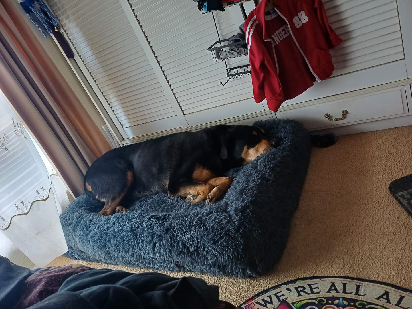 Customer photo review of Brooklyn® Memory Foam Bolster Bed