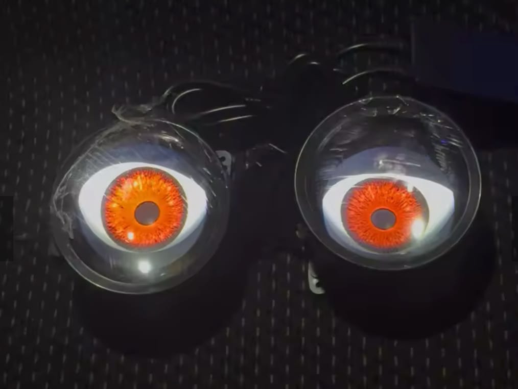 Customer photo review of Iris Mods®Eye Display