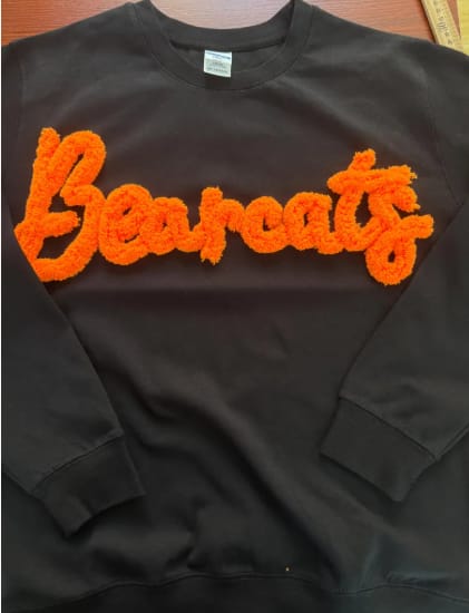 Customer photo review of Custom College Chenille Team Name Embroidered Sweatshirt | Gifts for Sports Mom