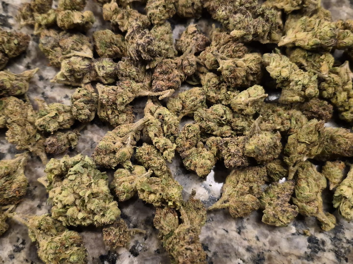 Customer photo review of 1 Oz Cheap THCA Small Buds