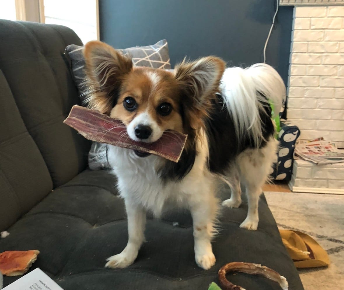 Customer photo review of 6 Inch Beef Jerky Strip