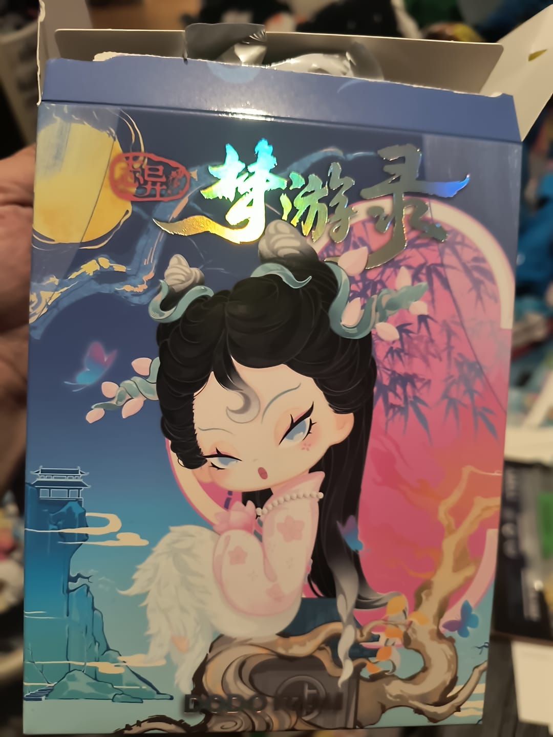 Customer photo review of DODO Nami Strange Tales: Record of a Dream Journey Series Blind Box