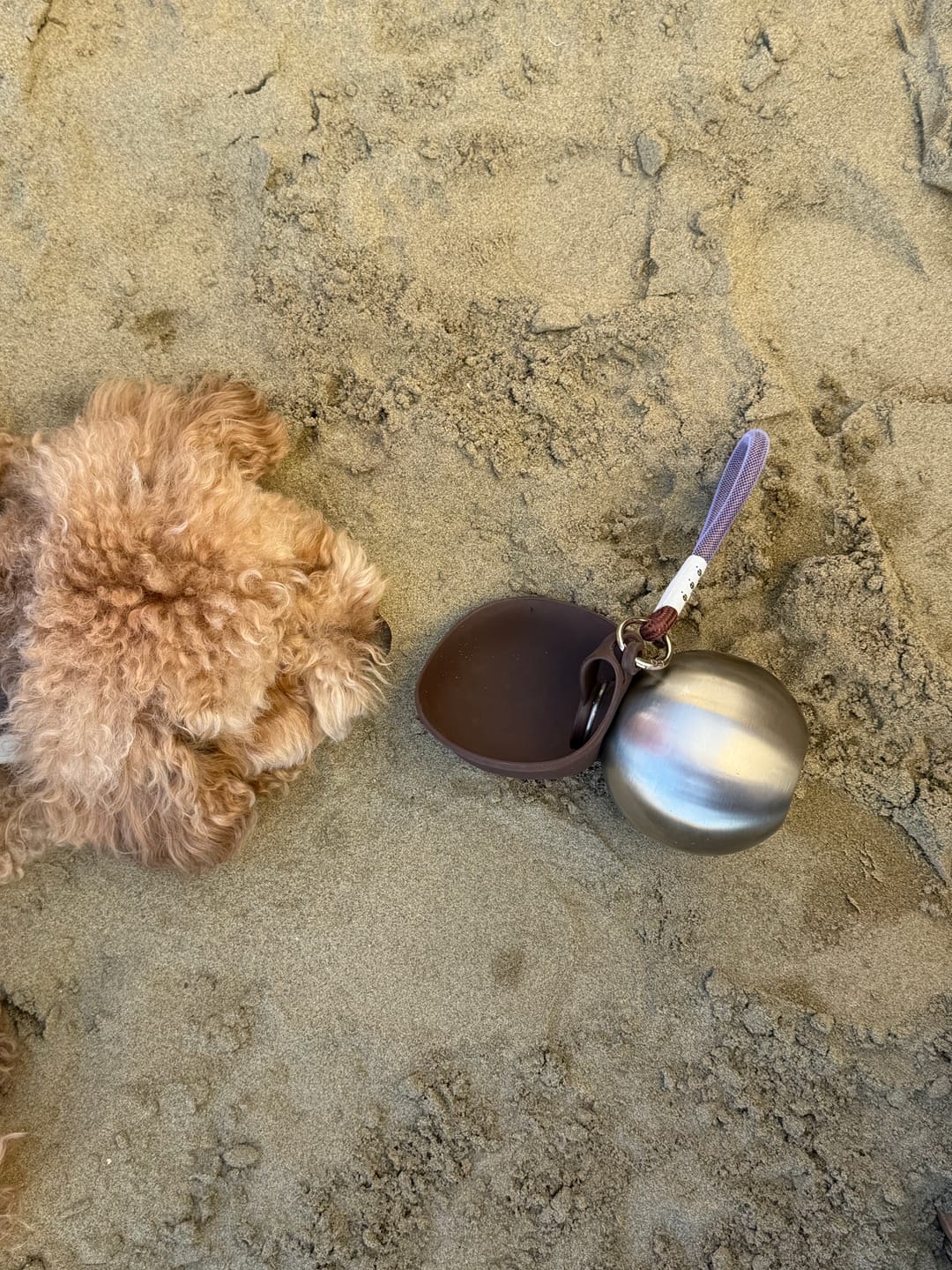 Customer photo review of Adventure