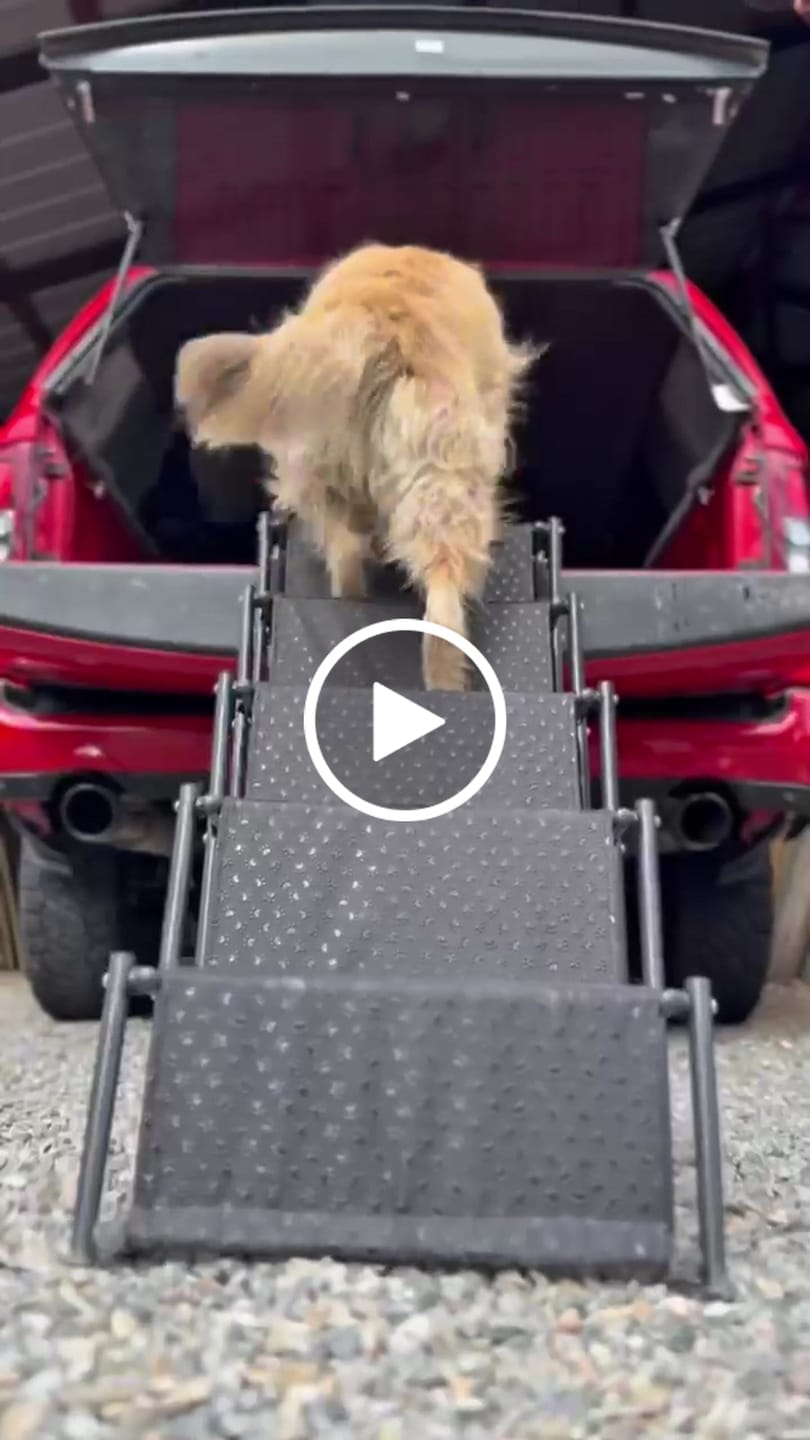 Customer video review of Big Ass Steps