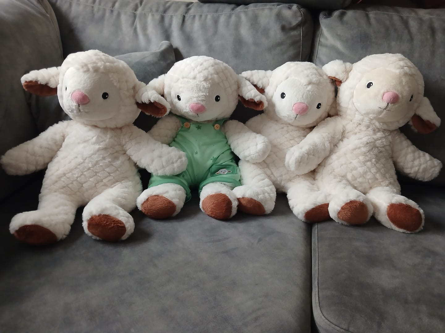 Customer photo review of Lotgenootje Schaap 2kg