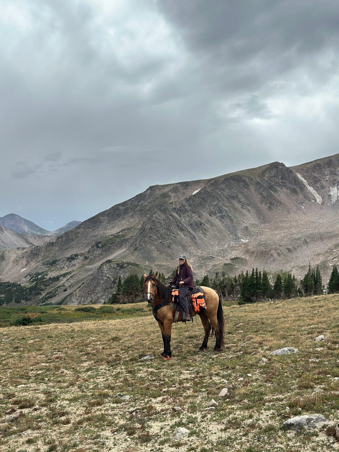 Customer photo review of Renegade® Viper Shield™ Hoof Boot Seconds - Cosmic Orange