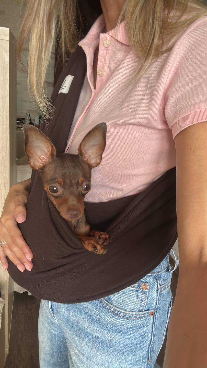 Customer photo review of Lightweight Pet Sling – Chocolate – 2–11 lbs / 1–5 kg (Spring/Summer)