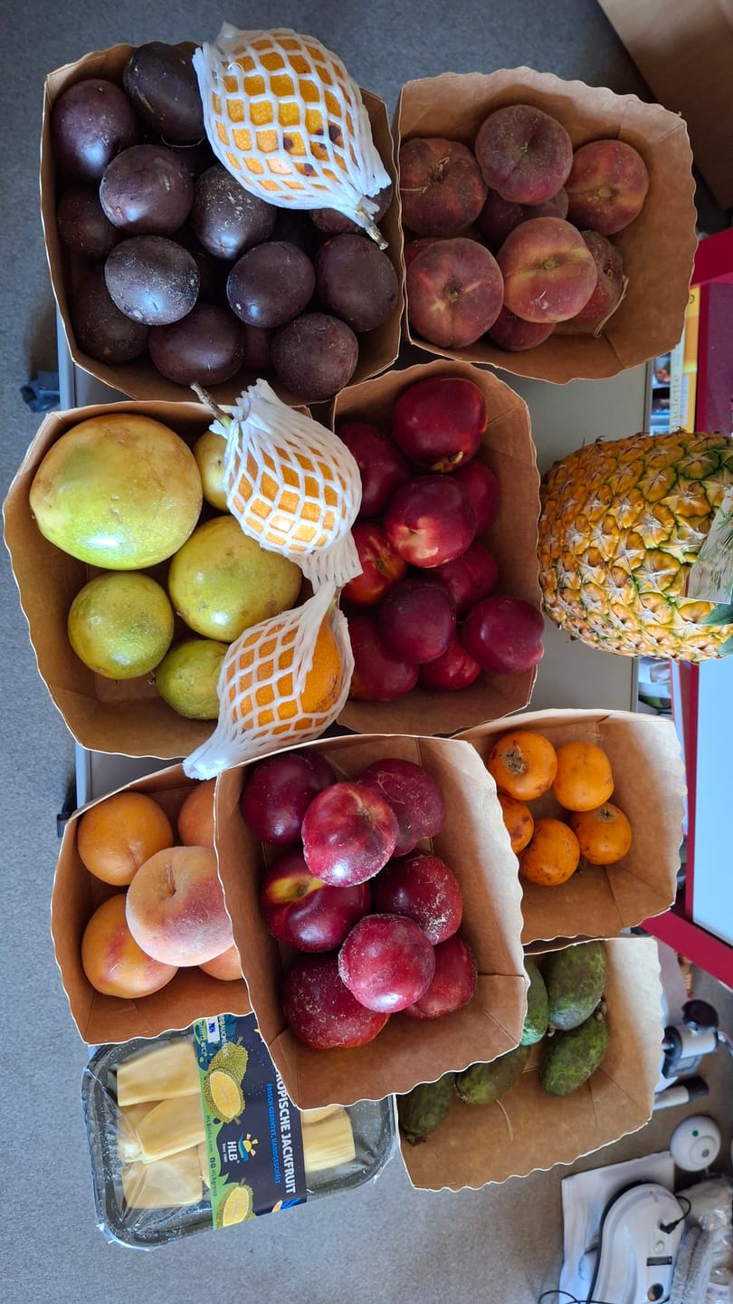 Customer photo review of Pfirsich-Mix Bio von Jose Miguel 3kg Box