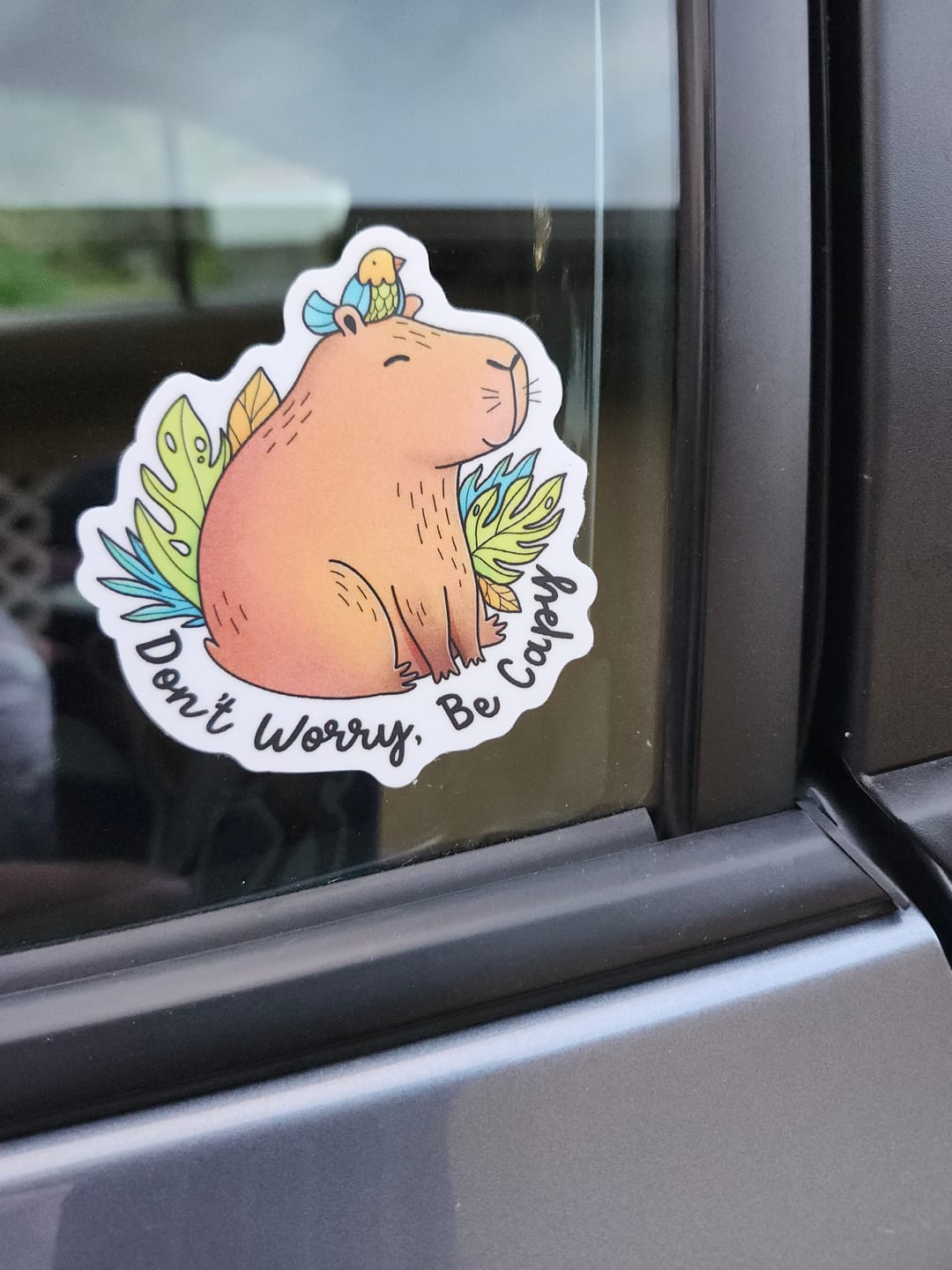 Customer photo review of "Don't Worry, Be Capy" Capybara and Bird Sticker