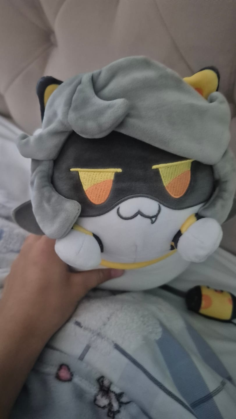 Customer photo review of V Cat Plush