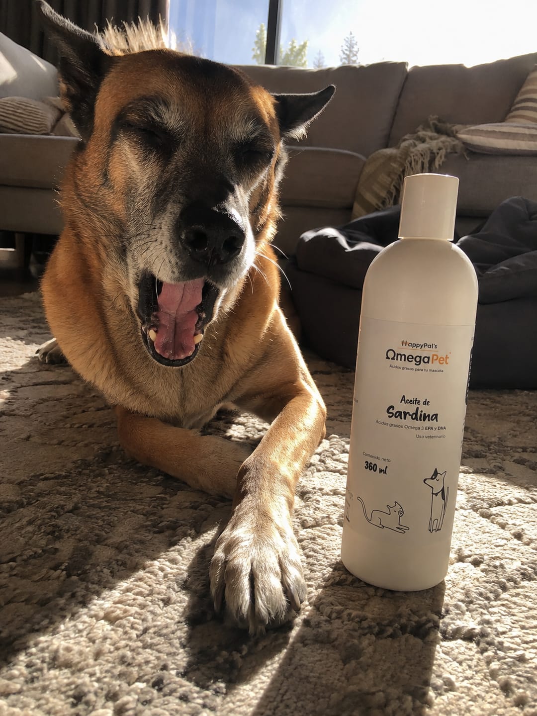 Customer photo review of Omegapet I Aceite de Sardina con Omega 3 para Perro y Gato. Contiene DHA y EPA