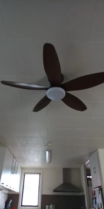 Customer photo review of Three-Blade Ceiling Fan with Dimmable Light and Remote