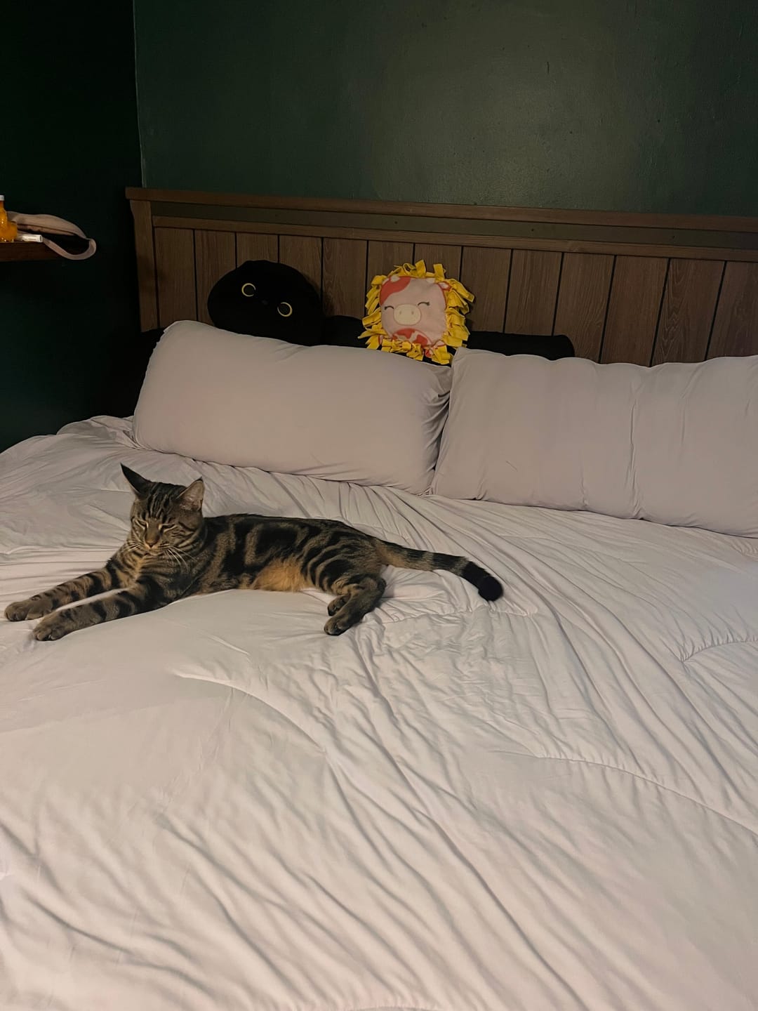 Customer photo review of Cooling Pillowcases (2-Pack)