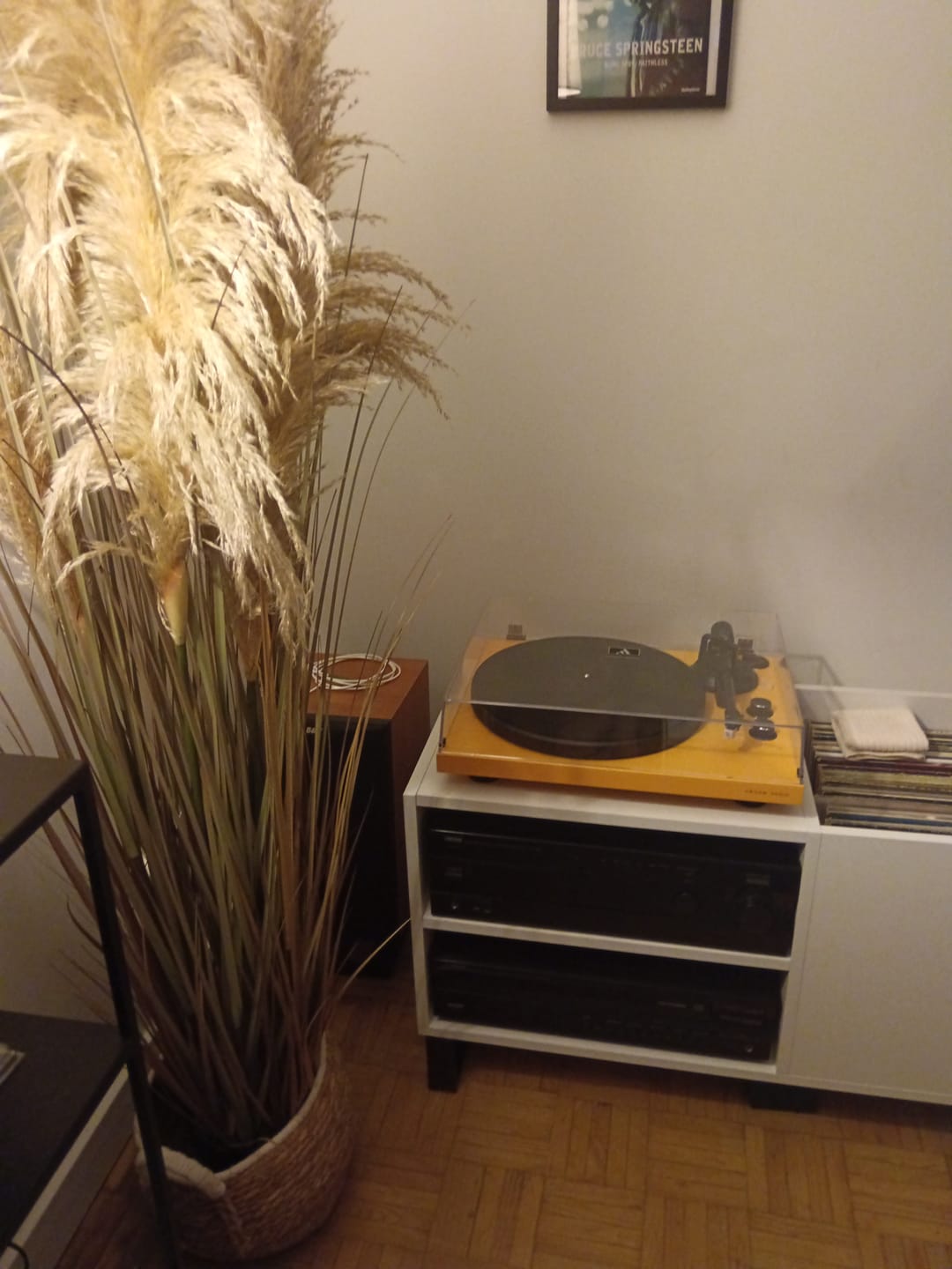 Customer photo review of TT MK2