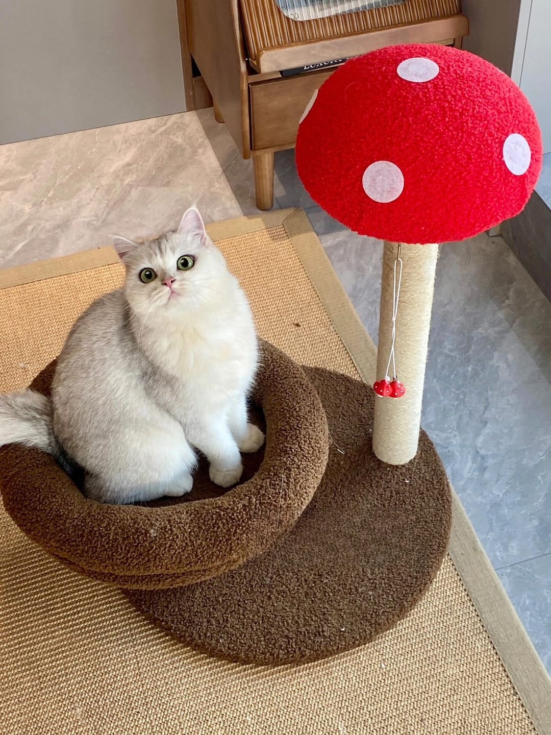 Customer photo review of Red Mushroom Cat Scratching Post