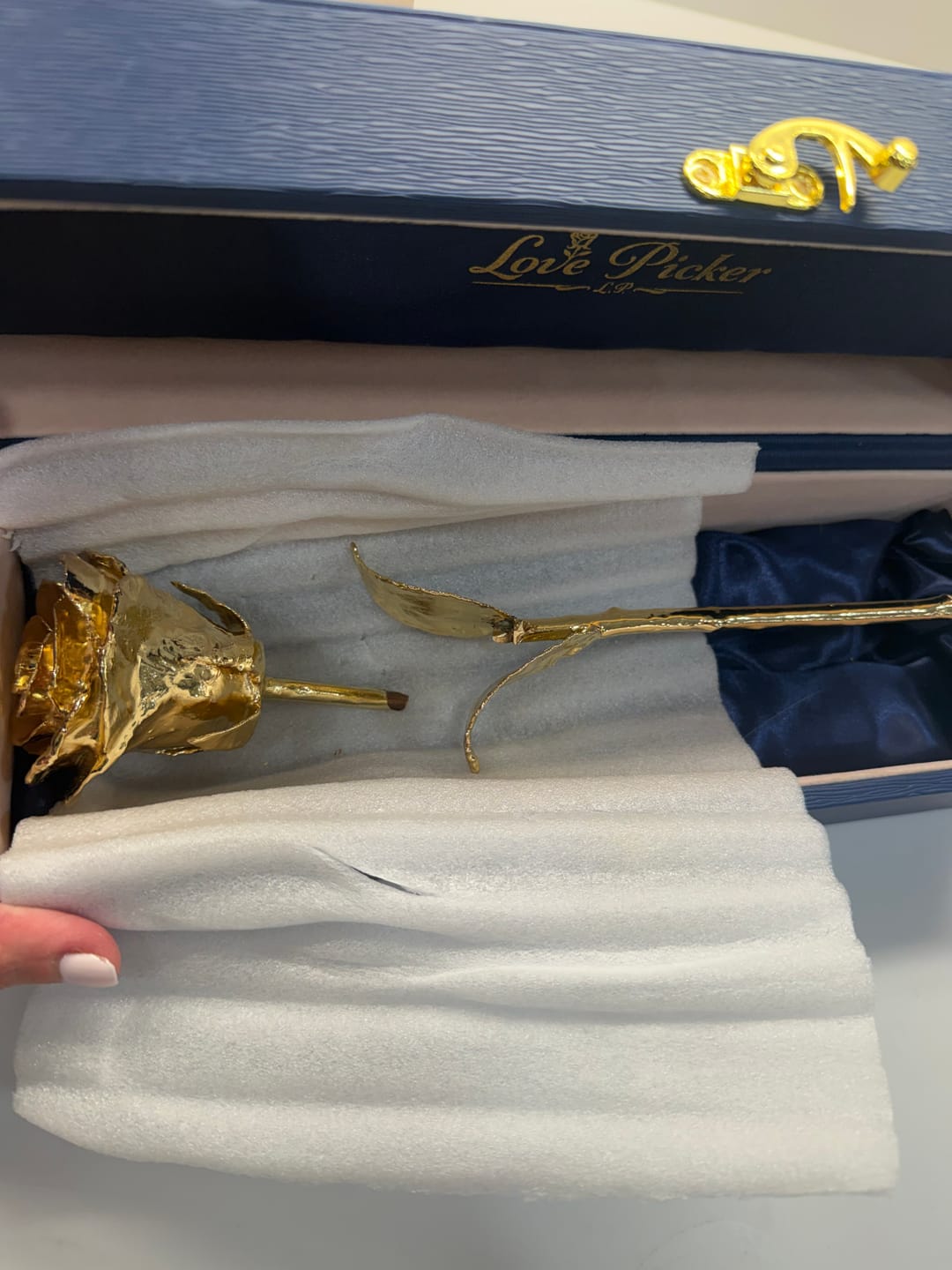 Customer photo review of Custom Engraved Box 24K Gold Dipped Natural Rose 11.5" - Midnight Blue
