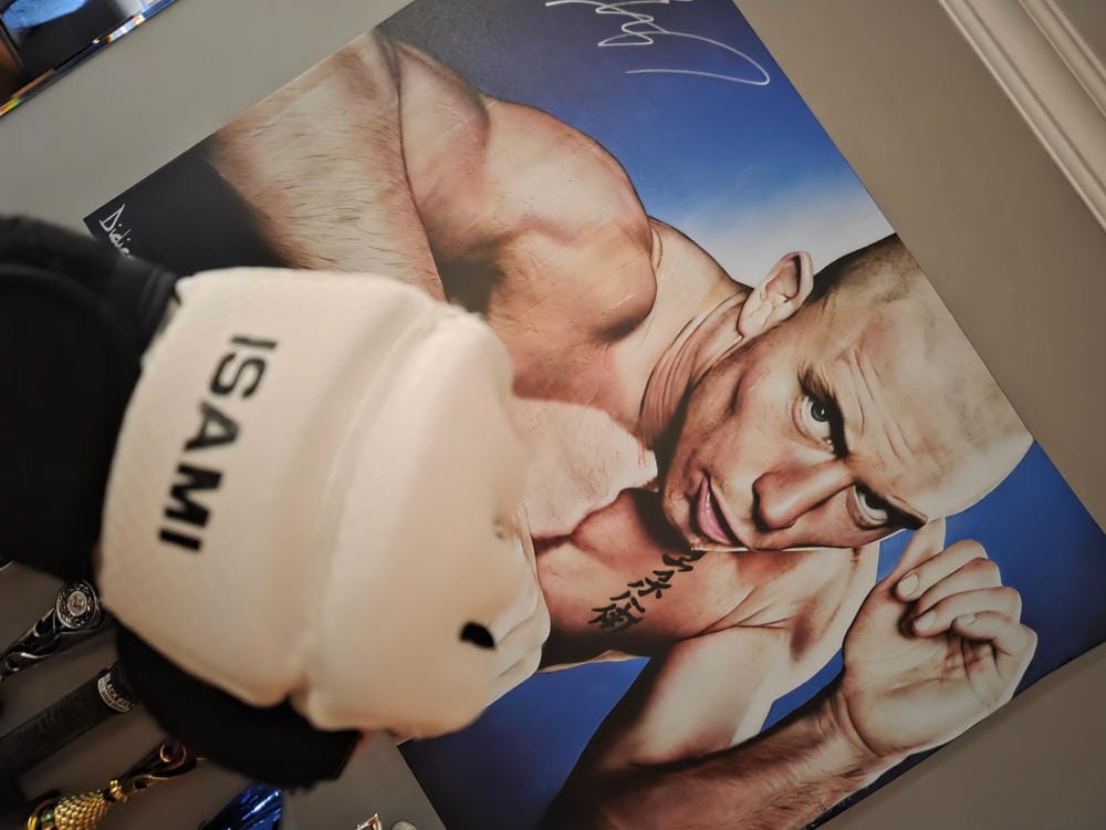 Customer photo review of Isami Karate Gloves