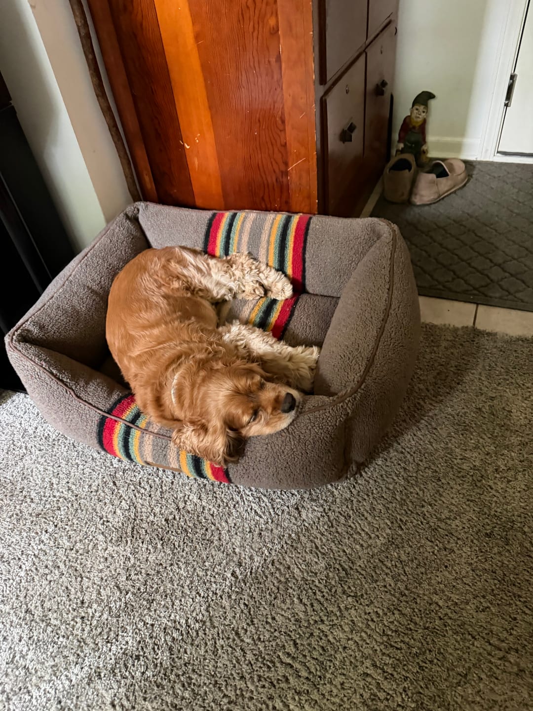 Customer photo review of Pendleton Kuddler Dog Bed